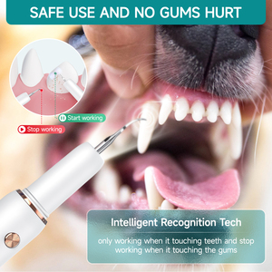 Dental Product Portable Calculus Plaque Remover Tooth Electric Teeth Cleaner Visual Ultrasonic Tooth Cleaner For Pet Dog Cat - Product Image 5