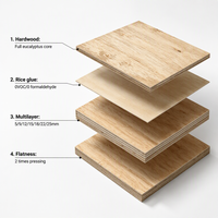 Kayu Keras Eucalyptus Guangxi 18mm Plywood Kelas Furnitur Lemari Dapur Semua Jenis Plywood Laminasi