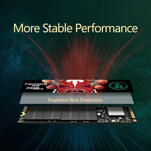 SSD Fanxiang S500MQ 1TB/2TB/500GB/4TB untuk Desktop dan Laptop M.2 PCIe 3 - Product Image 4