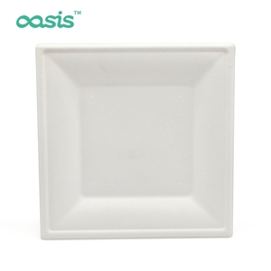 Carta per bagassa biodegradabile ecologica usa e getta quadrata senza PFAS senza uso e degradabile personalizzata - Product Image 1