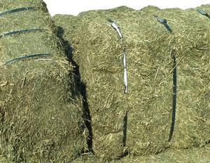 Foins de tiffany et de luzerne de meilleure qualité pour l'alimentation des animaux - Product Image 2