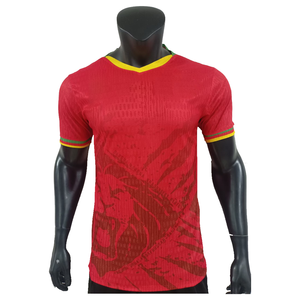<span class=keywords><strong>Maillot</strong></span> de football d'entraînement version joueur de l'équipe nationale du <span class=keywords><strong>Maroc</strong></span>, du Ghana, de Marikot Divo et de la Côte d'Ivoire pour la Coupe d'Afrique 2526 - Product Image 3