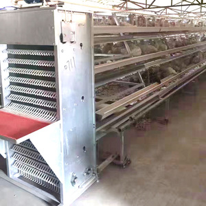 Attrezzature avicole zincate per allevamento di galline ovaiole, gabbie a batteria automatizzate ad alta produttività per allevamenti di uova. - Product Image 6
