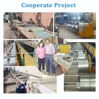 Machine automatique de galvanisation à froid et de placage au zinc pour fil d'acier en ligne unique, placage continu pour usine de grillage métallique, haute capacité