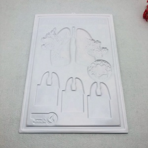 Lo studente umano i polmoni che insegna <span class=keywords><strong>3D</strong></span> Poster medico personalizzato Poster murale - Product Image 5