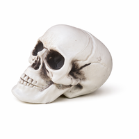 Crâne d'Halloween Réaliste en PVC, Tête de Squelette, Décoration Horreur pour Maison Hantée, Fête Gothique, Festival, Décoration Intérieure Réutilisable