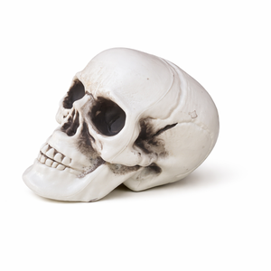 Cabeza <span class=keywords><strong>de</strong></span> Esqueleto <span class=keywords><strong>de</strong></span> PVC Realista para Halloween, Decoración <span class=keywords><strong>de</strong></span> <span class=keywords><strong>Terror</strong></span> para Casa Embrujada, Fiesta Gótica, Decoración del Hogar, Reutilizable - Product Image 1