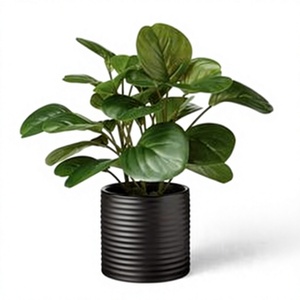 Maceta moderna de hierro negro acanalado para plantas verdes de interior, diseño minimalista, decoración para el hogar y hoteles - Product Image 1