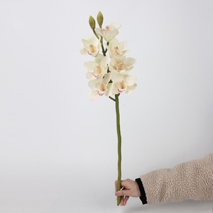 Orchidée <span class=keywords><strong>Cymbidium</strong></span> LUYI de haute qualité, toucher réel, tige unique, 7 têtes, fleur d'orchidée <span class=keywords><strong>Cymbidium</strong></span> au toucher réel - Product Image 6