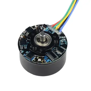 BL4525 45mm מיקרו BLDC מנוע חשמלי לעיסוי 12v 50w Brushless Dc מנוע