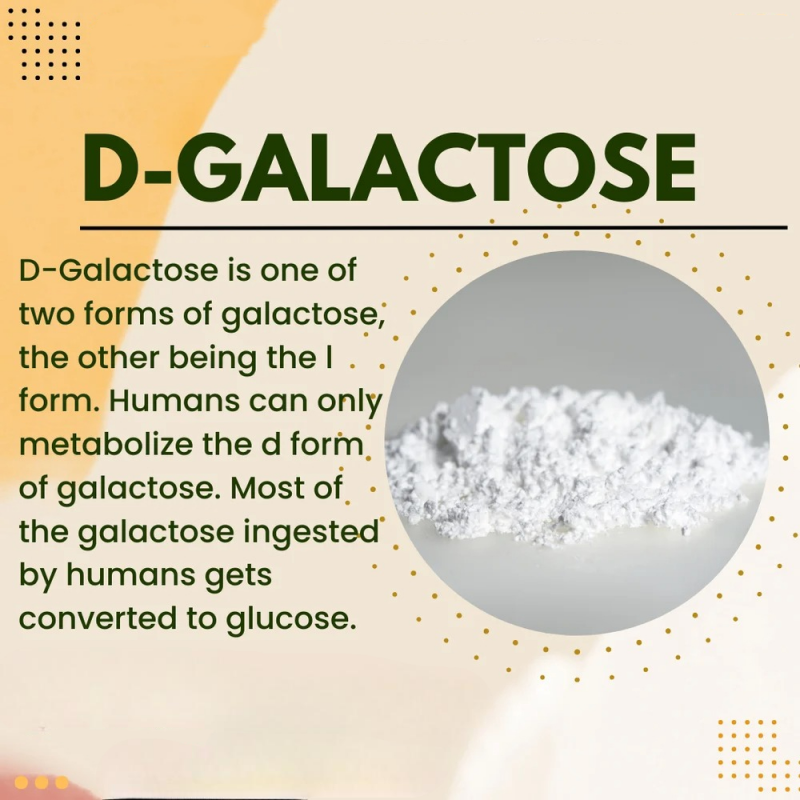 Food Additives Gelatin Powder As Adhesive