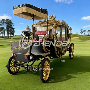 Carruaje de Caballos Personalizado para Bodas, Vagoneta Turística, Carruaje Real Eléctrico de Caballos en Venta - Product Image 4