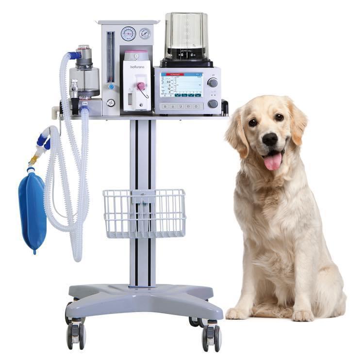 Physical Therapy Equipment Clinical Analytical Instruments Other Ultrasonic Portable Anesthesia Machine Veterinary Clinic DM6B