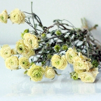 Yopin-2571 artifisial Bonks bunga peony kering, dekorasi rumah Ranunculus kering alami