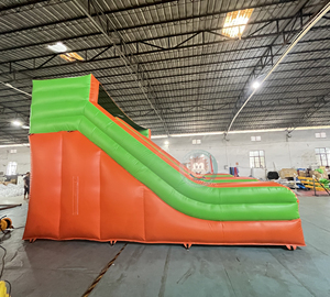 Thương mại màu xanh lá cây đầy màu sắc nhiệt đới hai làn bơm hơi ướt/khô trượt - Product Image 5