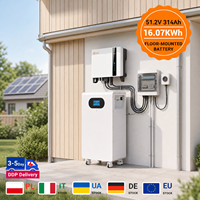 Batterie LiFePO4 51,2 V 314 Ah 300 Ah 16,07 kWh, montage au sol, système de stockage d'énergie solaire domestique, batterie lithium pour unité de charge de véhicule électrique