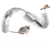 Pointes anti-oiseaux, anti-écureuils, anti-chats, anti-escalade en acier inoxydable pour la lutte antiparasitaire, la protection des clôtures de jardin et des toits