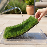 Fabricant de gazon artificiel OEM BC Grass, couleur verte, logo accepté, faible MOQ, fiable, pour jardin intérieur, durable, haute densité