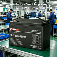 Baterai LiFePO4 12V 100Ah Grosir OEM Paket Baterai Lithium Kustom dengan BMS untuk Pengganti Aki Timbal Asam Solar RV