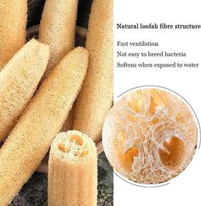 Esponja <span class=keywords><strong>de</strong></span> lufa <span class=keywords><strong>Luffa</strong></span>, depurador <span class=keywords><strong>de</strong></span> limpieza <span class=keywords><strong>de</strong></span> platos, baño exfoliante, <span class=keywords><strong>estropajo</strong></span> natural para el cuerpo - Product Image 4
