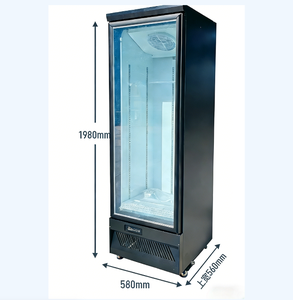 Réfrigérateur commercial à boissons <span class=keywords><strong>1</strong></span> <span class=keywords><strong>porte</strong></span>, à refroidissement par air, avec éclairage LED, faible consommation, pour bars et magasins - Product Image 1