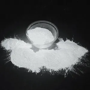 Hot Sale Qualität Weißes Phosphor pulver Keramik pigmente Glow in Dark Powder Pigment