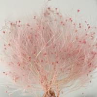 Fleurs Décoratives Naturelles Préservées en Gros pour Mariage, Noël, Fête des Mères, Saint-Valentin, Remise de Diplôme, Halloween et Nouvel An