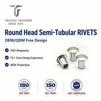 Rivets semi-tubulaires à tête ronde en laiton TianFang pour la production d'accessoires vestimentaires, finition nickelée, approvisionnement stable par lots
