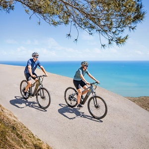 <span class=keywords><strong>Bicicleta</strong></span> Eléctrica de Montaña <span class=keywords><strong>Cecotec</strong></span> con Motor en el Buje Delantero, Batería de Iones de Litio, Rueda de 29 Pulgadas, Alcance de 120 km, Suspensión Delantera y Frenos de Disco - Product Image 6