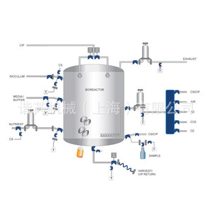 วาล์วไดอะแฟรม Saunders 316L ASTM A-479 DN8 ถึง DN150 แบบใช้ลมควบคุมด้วยมือ สำหรับระบบไบโอรีแอกเตอร์ - Product Image 1
