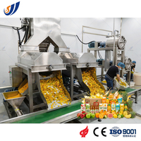 Ligne de traitement automatique de jus de fruits avec traitement de l'eau, projet clé en main