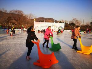 Asistente <span class=keywords><strong>de</strong></span> <span class=keywords><strong>Patinaje</strong></span> <span class=keywords><strong>sobre</strong></span> <span class=keywords><strong>Hielo</strong></span>, Nuevo Estilo, para Pistas <span class=keywords><strong>de</strong></span> <span class=keywords><strong>Hielo</strong></span>, Zona <span class=keywords><strong>de</strong></span> Juegos <span class=keywords><strong>de</strong></span> Parques <span class=keywords><strong>de</strong></span> Diversiones, Dophin Skating Booster - Product Image 3