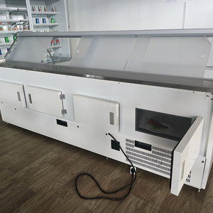 Réfrigérateur de Comptoir pour Viandes avec Design Élégant DSF/DSB - Product Image 1