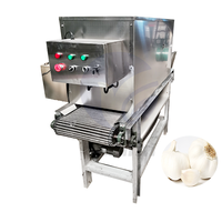 Direkthersteller 300Kg Knoblauchbrecher und -schälmaschine Knoblauchbrecher und -schälmaschine