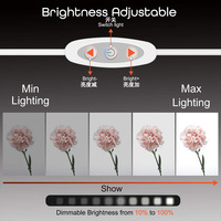Lampes néon LED en acrylique les plus vendues, nouveau type, pour festivals intérieurs, décoration de chambres d'enfants, utilisation extérieure, forme de lettre