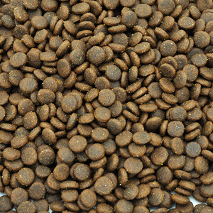 מזון לחיות מחמד חתול מזון יבש מזון עבור חיות מחמד - Product Image 1