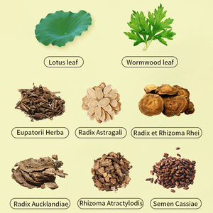 Patchs Amincissants Corps et Ventre à Base de Plantes Chinoises Efficaces pour la Taille et les Jambes – Patch Minceur Rapide à la Feuille de <span class=keywords><strong>Lotus</strong></span> – Meilleures Ventes - Product Image 4
