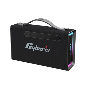 Haut-parleur portable T15 100W avec subwoofer, poignée RGB, étanche IPX6, sans fil, prise en charge des cartes TF, AUX, TWS, basses profondes, alimenté par batterie - Product Image 1