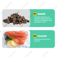 Complément Alimentaire Rapide pour Animaux de Compagnie : L-Lysine en Forme de Cœur, Friandises Tendres pour Chats, Chiens et Chiots, Santé Respiratoire et Immunitaire, Vente en Gros Fabricant