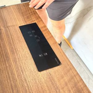 Table de cuisson à induction invisible Domino 220V, à encastrer sous comptoir - Product Image 2