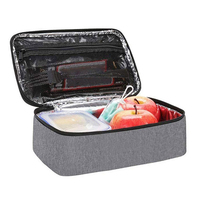 Sac isotherme isotherme de sac de bento portatif pour des pique-niques de BBQ de camping