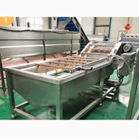 Fruit En Groente Bubble Wasmachine Gebruikt Voor Fruit En Groente Verwerking Fabriek, Gemakkelijk Schoon Te Maken, Eenvoudig Te Bedienen