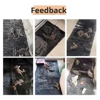 Krachtige Eco-Vriendelijke Plastic Muis Plakbord Echte Muis Trap Huishouden West End Grijpen Grote Lijm Knaagdier Uitroeiing