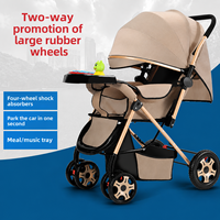 Poussettes multifonctionnelles pour enfants à vue panoramique, poussettes pliantes pour nouveau-nés, pour les voyages et l'usage quotidien