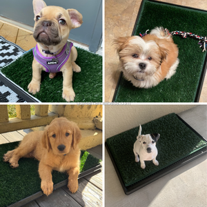 Tapis en herbe artificielle pour chien <span class=keywords><strong>de</strong></span> grande taille 35x22,6 pouces avec plateau, bac à litière pour chien lavable avec patch en herbe artificielle - Product Image 6