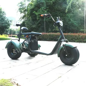 1000w 2000w 60v1 2AH/20AH li-na bateria scooter elétrico de três rodas pneu gordura com golfe suporte de bolsa/para carrinhos de golfe de pneus gordos/