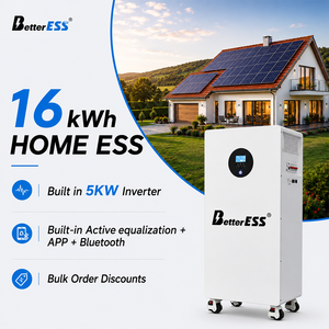 แบตเตอรี่ลิเธียมสำรองพลังงานภายในบ้าน BetterESS 16kWh 51.2V 314Ah พร้อมระบบปรับสมดุลพลังงาน 5kw ในตัว + แอปพลิเคชัน + บลูทูธ 51.2V 314 - Product Image 1