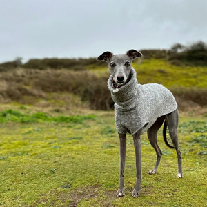 Chaleco <span class=keywords><strong>de</strong></span> lana <span class=keywords><strong>de</strong></span> invierno personalizado Qiqu para Whippets Lurchers italianos Galgos Sighthounds Diseño moderno Nuevo diseñador Suministros para mascotas - Product Image 5