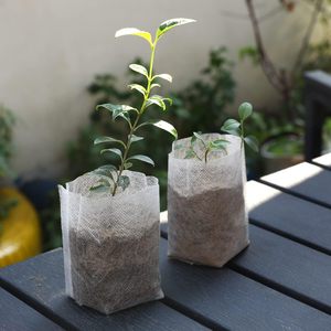 Bolsas <span class=keywords><strong>de</strong></span> cultivo <span class=keywords><strong>de</strong></span> <span class=keywords><strong>vivero</strong></span> personalizadas Bolsa <span class=keywords><strong>de</strong></span> cultivo <span class=keywords><strong>de</strong></span> plántulas <span class=keywords><strong>de</strong></span> <span class=keywords><strong>tela</strong></span> no tejida <span class=keywords><strong>para</strong></span> plantar plántulas - Product Image 4