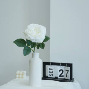 新鲜なカット花中国から卸売ビッグシングルヘッド - Product Image 5